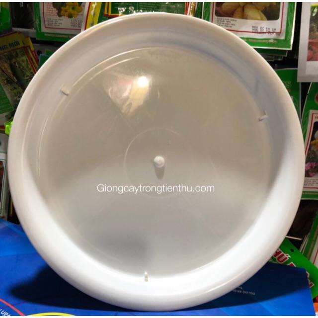 ĐĨA LÓT CHẬU CÂY CẢNH PHI 30