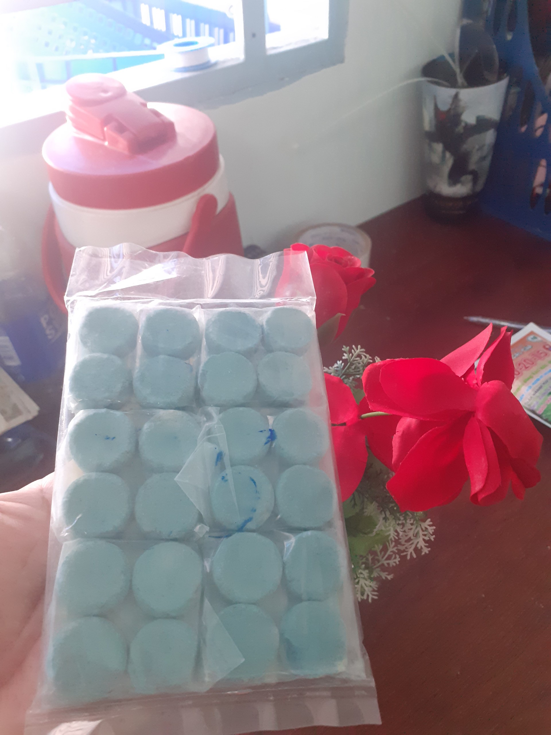1 gói 24 viên Phân chuyên dùng cho cây cảnh ngập nước .