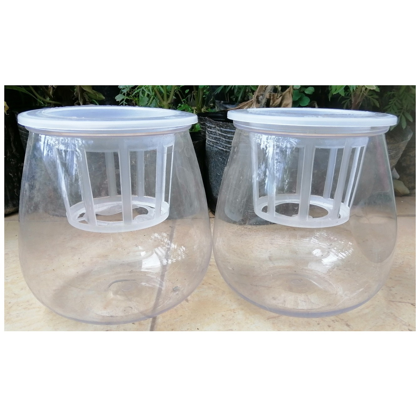 ComBo 2 Chậu Nhựa Trồng Cây Thủy Sinh, Kích Thước 10x10x13Cm