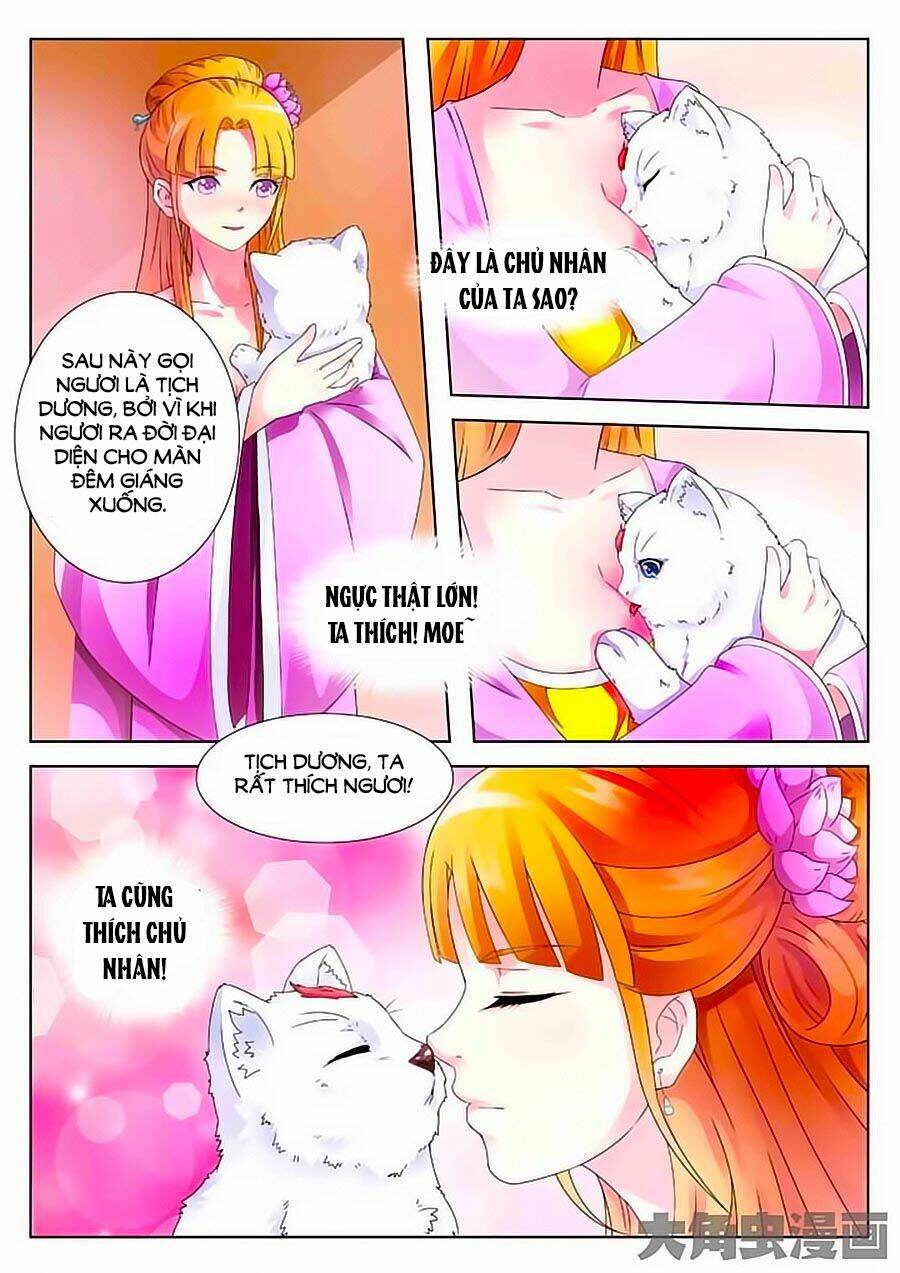 mau lấy con mèo đó ra chapter 2 7