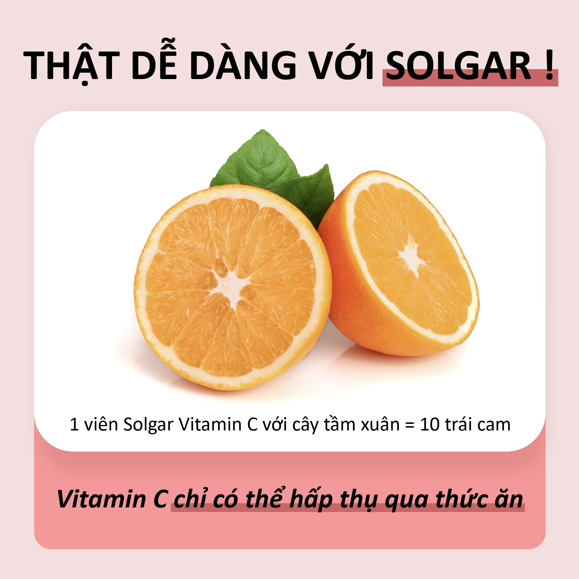 NHẬP KHẨU USA CHÍNH HÃNG - Viên uống bổ sung Vitamin C, tăng sức đề kháng, chống oxy hóa  Solgar Vitamin C 500 mg với Dầu Tầm xuân Rose Hips 