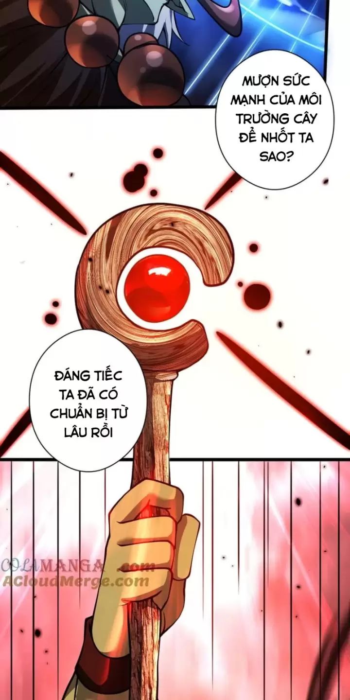 ta, chúa tể rừng xanh chapter 28 19