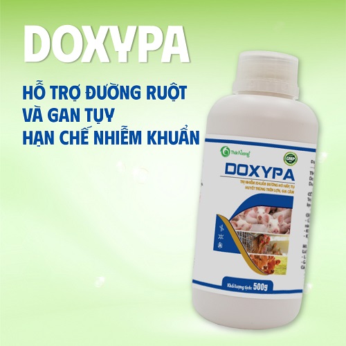 Kháng sinh cho nhiễm trùng đường hô hấp DOXYPA