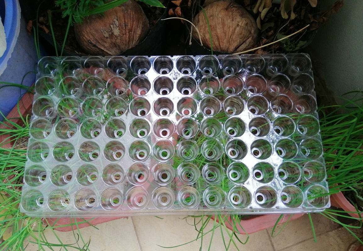 COMBO 10 Khay nhựa ươm cây TOKAI KASEI NHẬT BẢN 84 LỖ - ƯƠM CÂY TIỆN LỢI, TÍCH KIỆM DIỆN TÍCH, BẢO VỆ MÔI TRƯỜNG