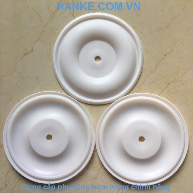 Màng Teflon QBY3-32-40TFLGM