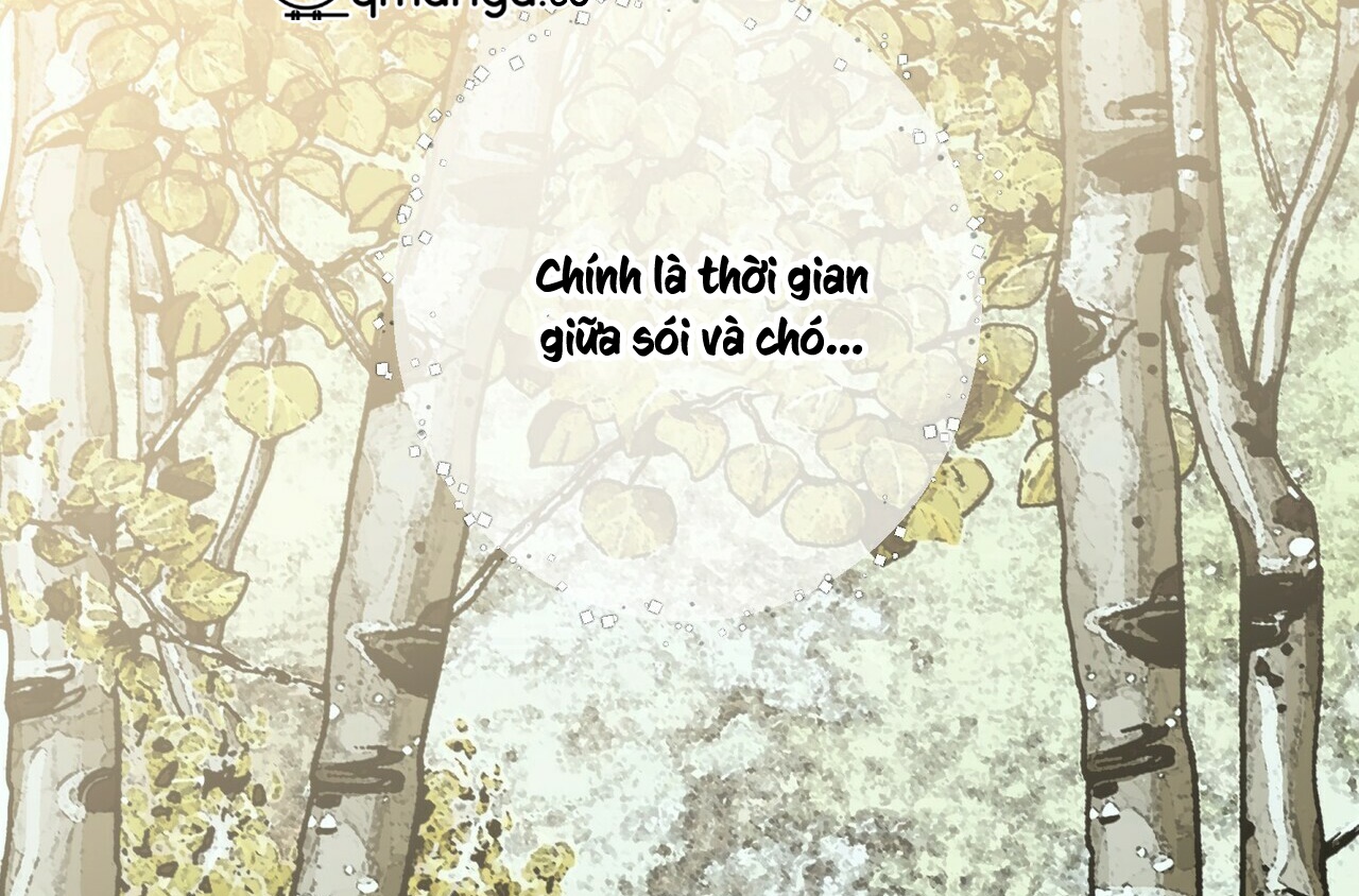 thời gian giữa sói và chó chapter 64 22
