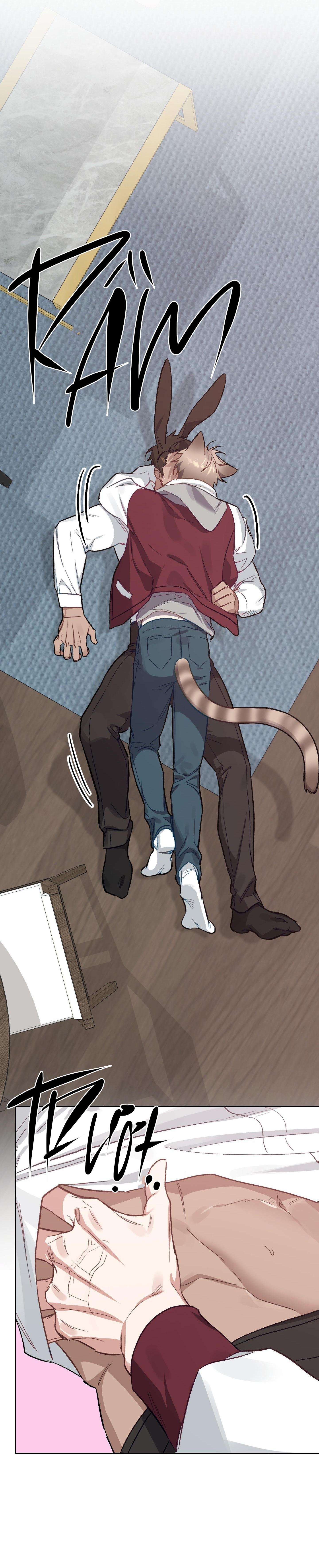thỏ xuất tinh trong 3 giây chapter 12 63