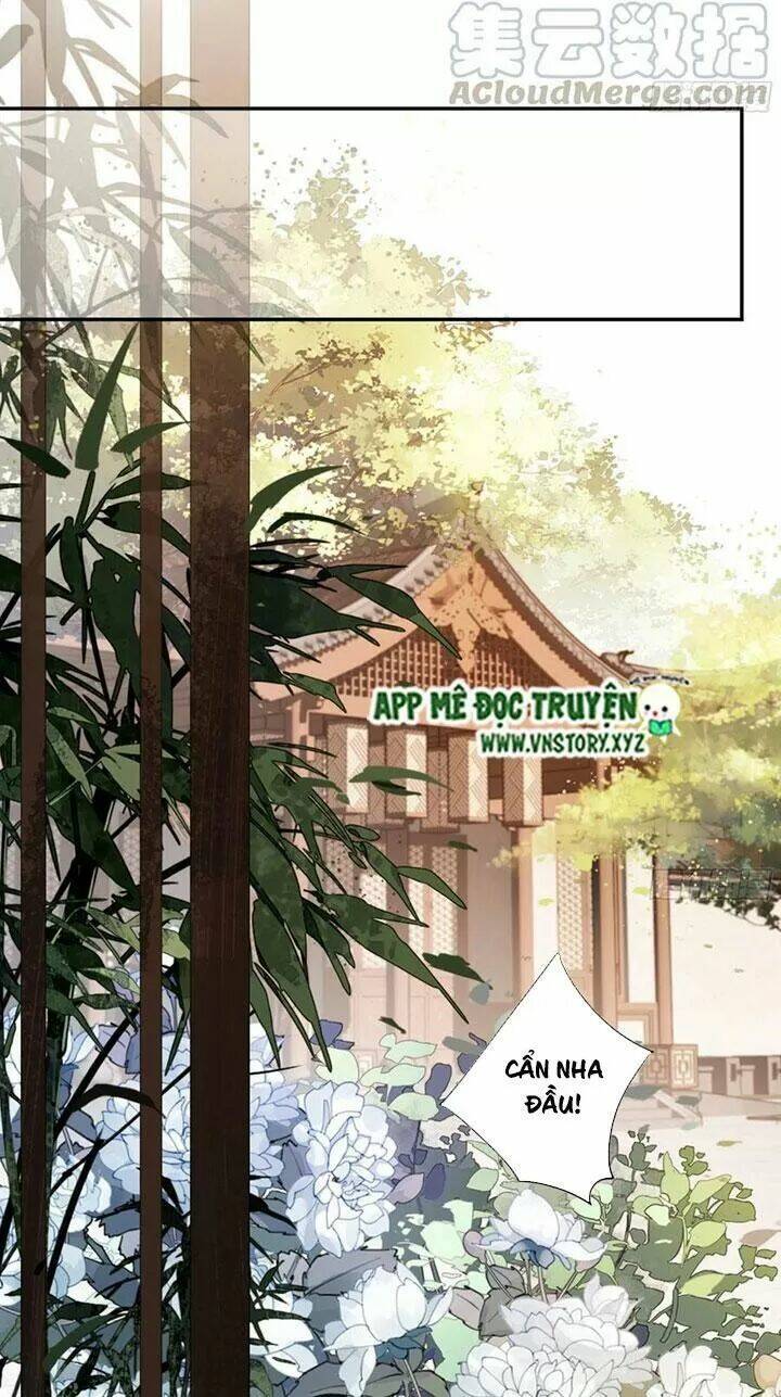 hoàng hậu ương bướng chapter 251 11