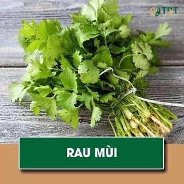 COMBO 8 loại hạt giống rau gia vị ngắn ngày