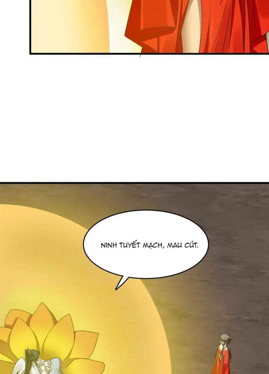độc bộ thiên hạ: đặc công thần y chapter 419 52