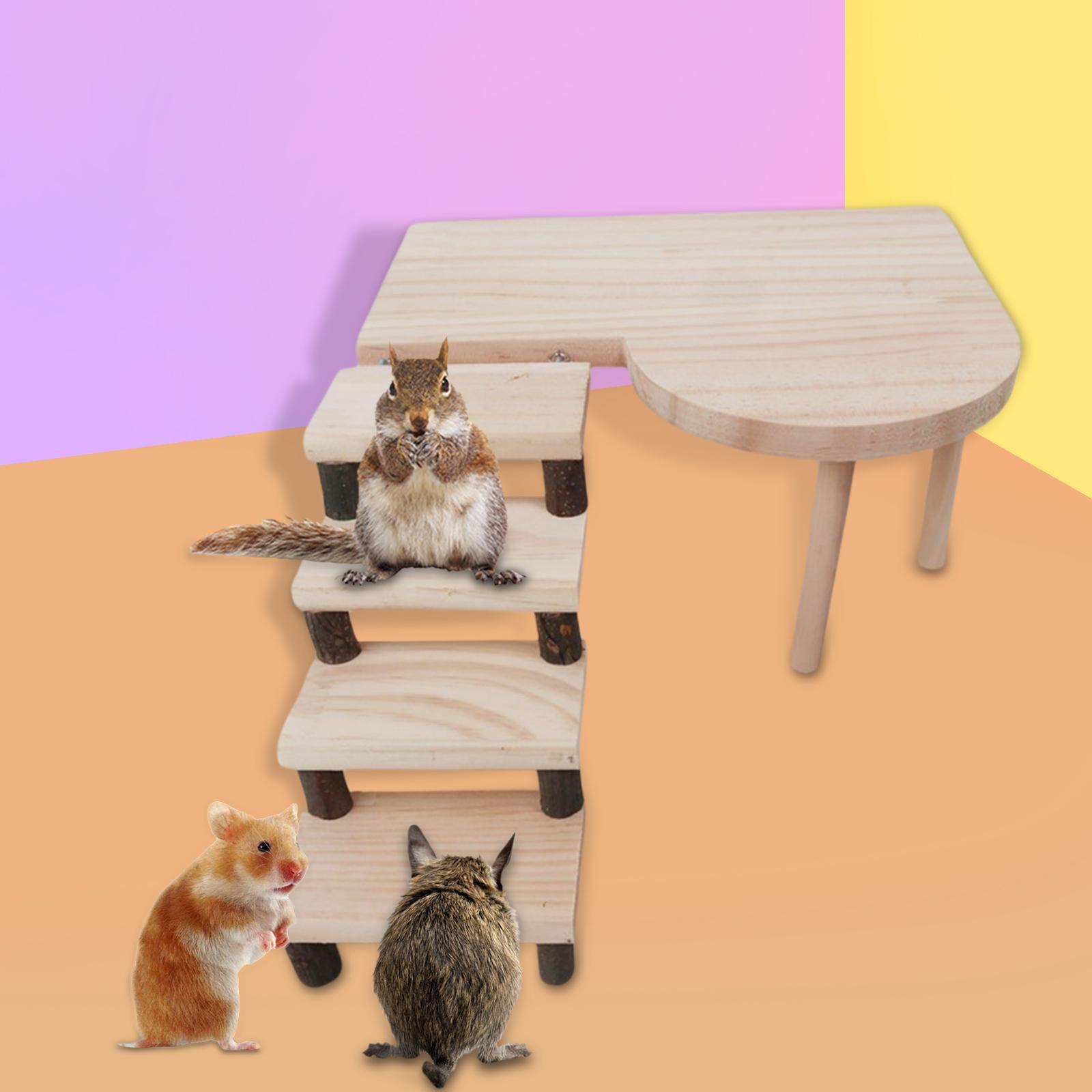 Two Layers Wooden Hamster Platform Climbing Ladder Cage Landscaping Climb