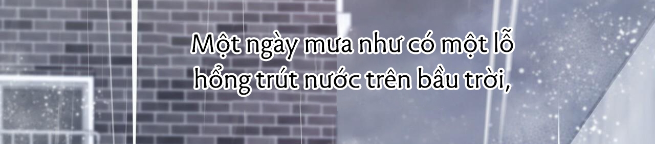 đàn thỏ của habibi chapter 34 257