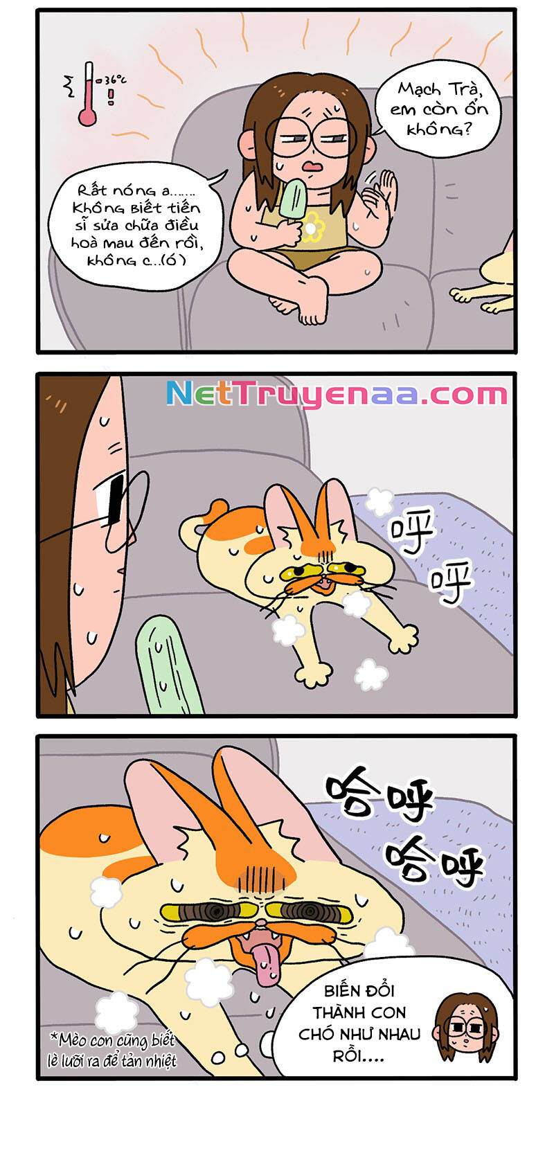 a mãn và mạch trà chapter 28 2