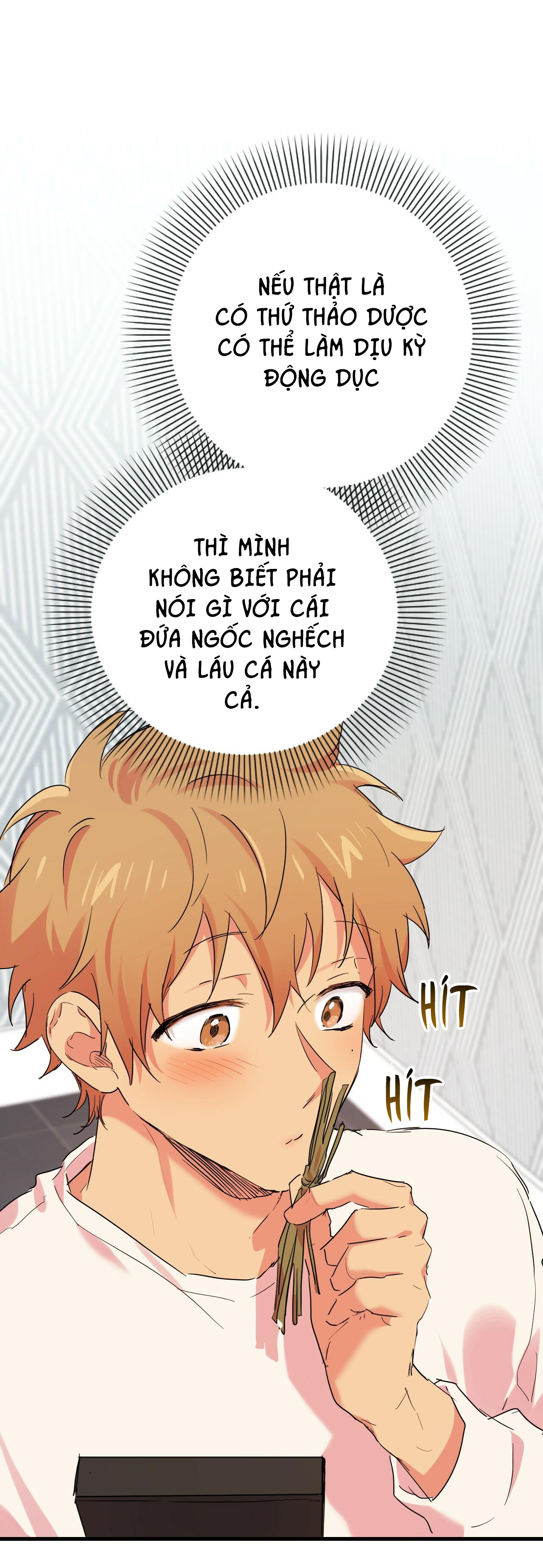 NHỮNG CHÚ THỎ CỦA HAPYPY chapter 12