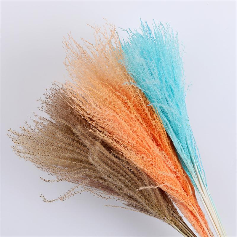 Tự Nhiên Đánh Hoa Khô Reed Pampa Secas Navidad Pampas Cỏ Trang Trí Tiệc Cưới Hoa Déco Artificielles Giáng Sinh