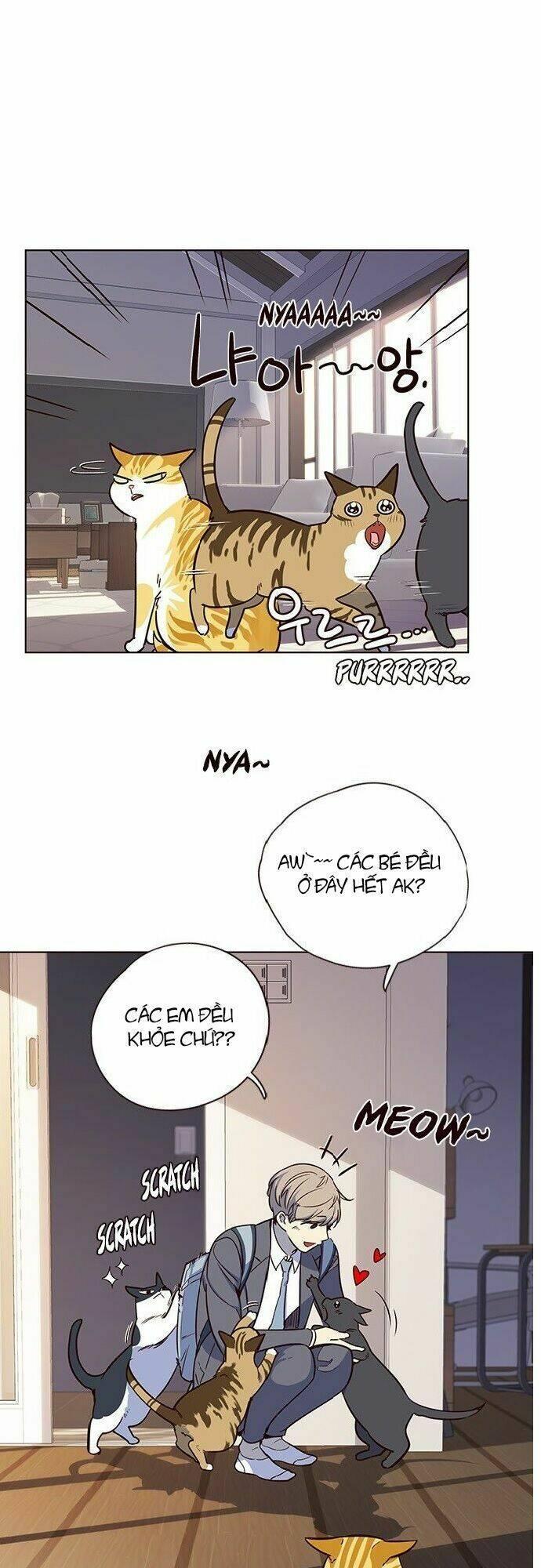 biến thân thành mèo chapter 7 48
