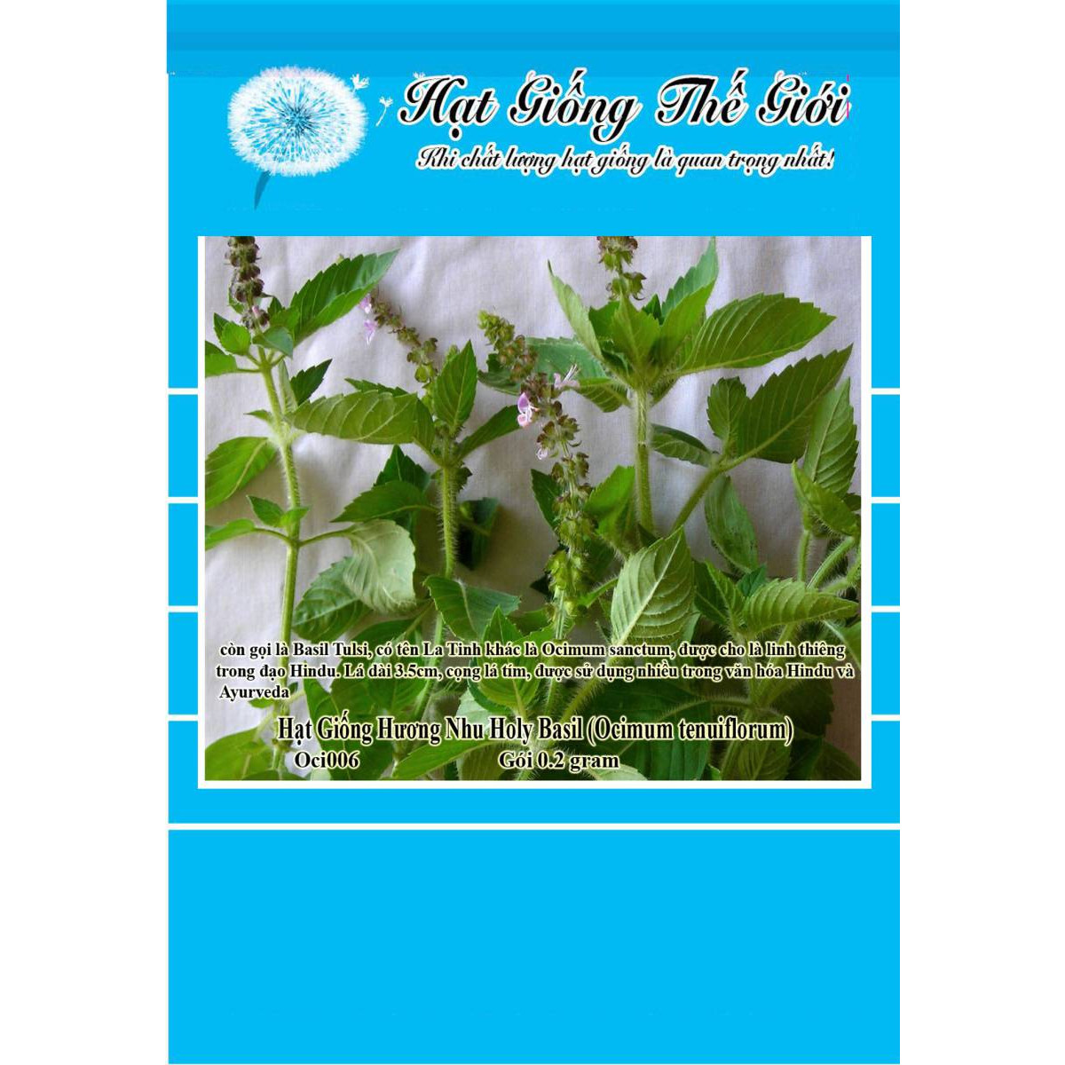 0.2g Hạt Giống Hương Nhu Holy Basil (Ocimum tenuiflorum)