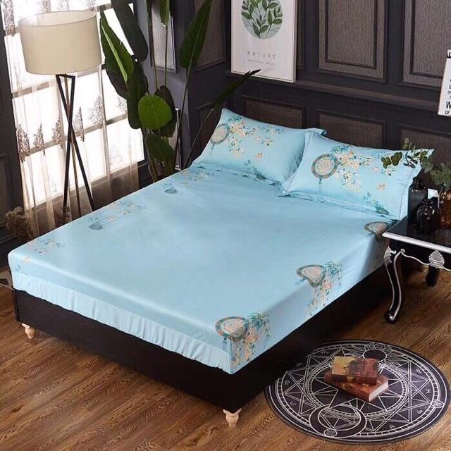 Bộ cotton organic mẫu mới