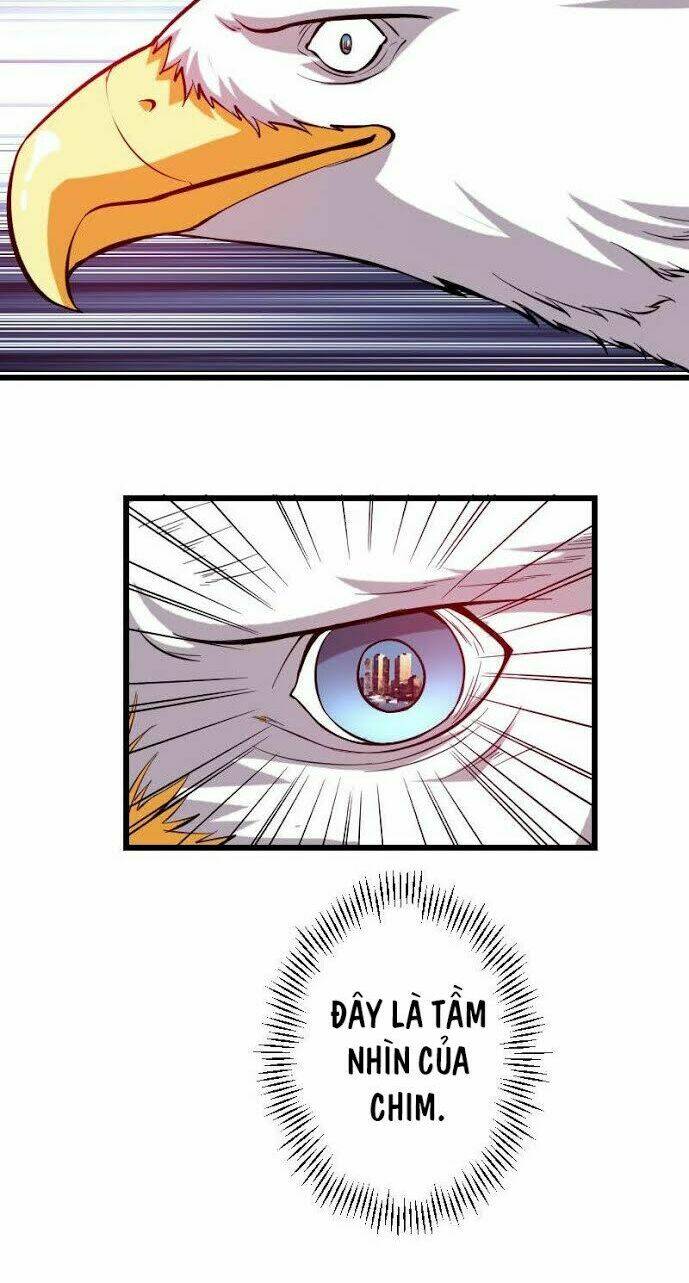 ngưu thư cung ứng thương chapter 141 19