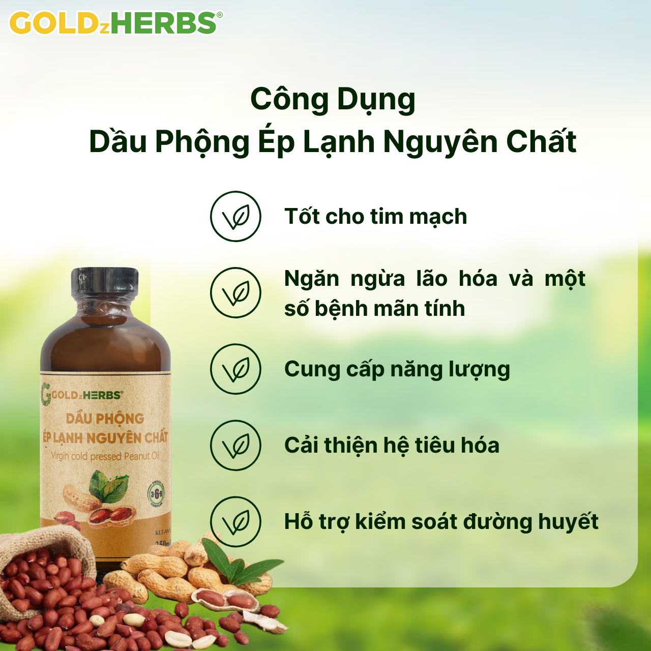 Dầu phộng ép lạnh nguyên chất GoldzHerbs - Chai 120ml/ 250ml