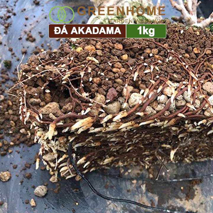 Đá Akadama, bao 1kg, loại siêu cứng, size S, cho thủy sinh, bonsai, sen đá |Greenhome