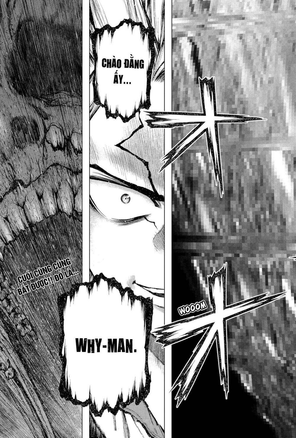 dr.stone - hồi sinh thế giới chapter 216 24