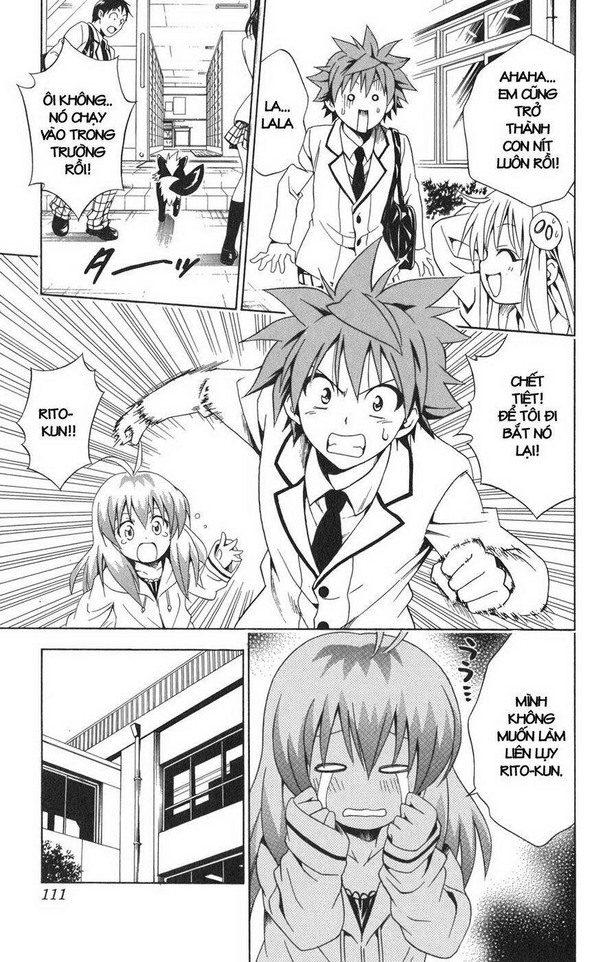 bọn tớ thích cậu! rito chapter 85 8