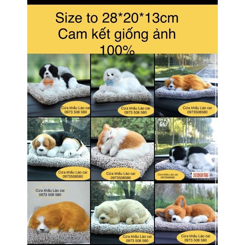 Chó đôi để taplo xe oto- chó mèo than hoạt tính Size to