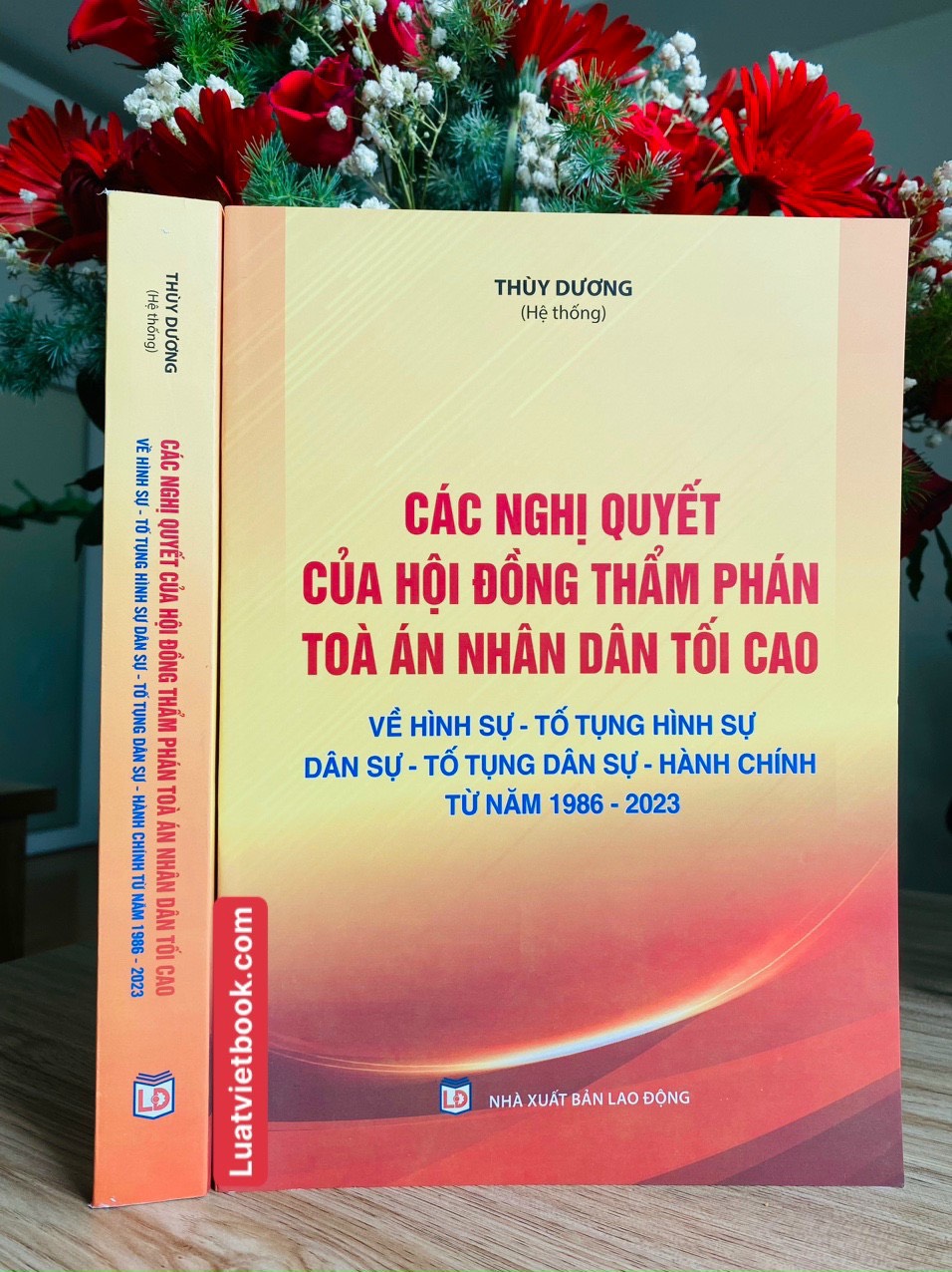 Hình ảnh Các Nghị Quyết Của Hội Đồng Thẩm Phán Toà Án Nhân Dân Tối Cao Về Hình Sự - Tố Tụng Hình Sự - Dân Sự - Tố Tụng Dân Sự -Hành Chính