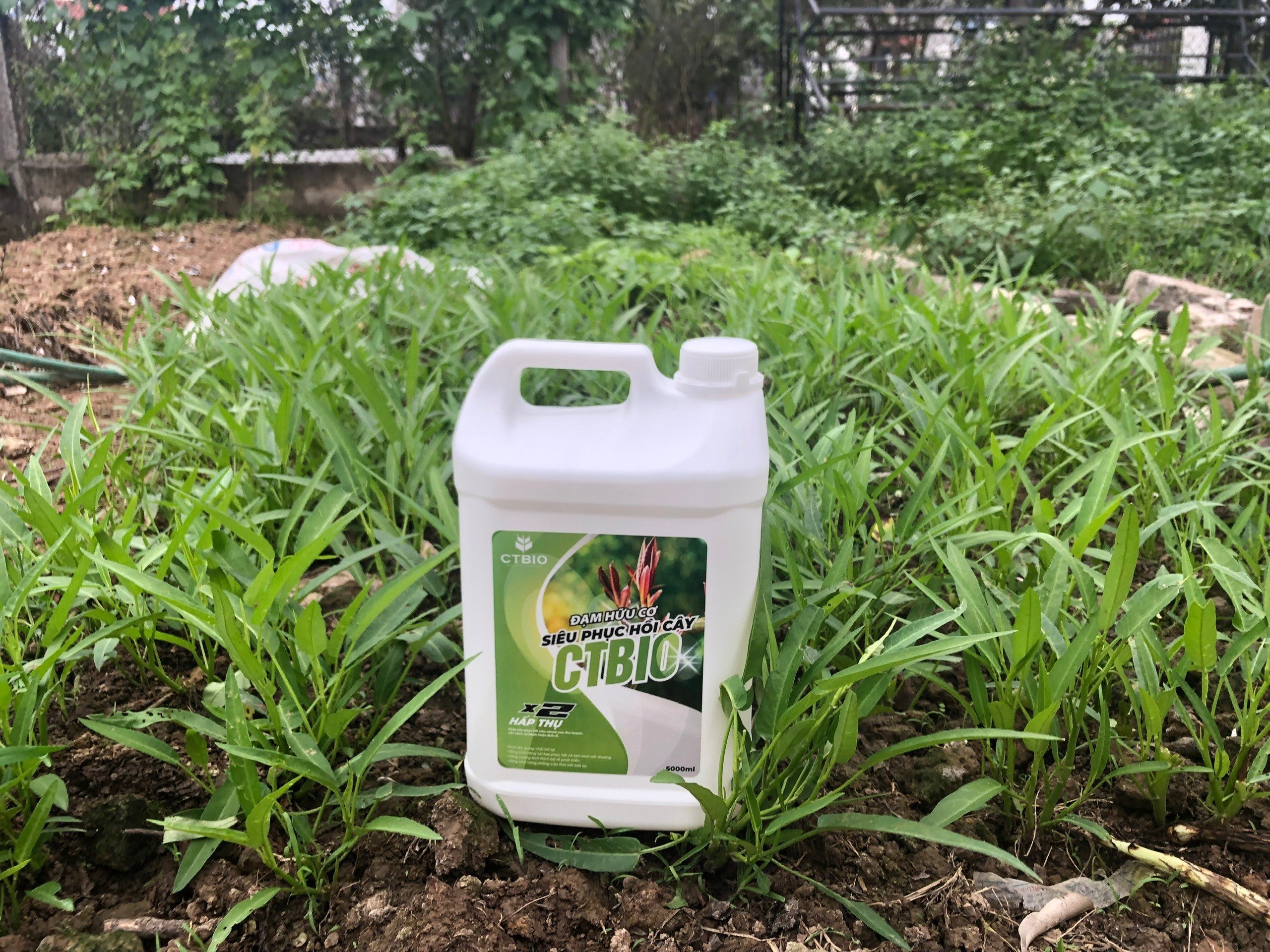 SIÊU PHỤC HỒI CÂY CTBIO - phân hữu cơ