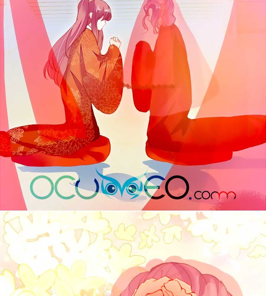 trẫm cũng không muốn quá khí phách chapter 49 71