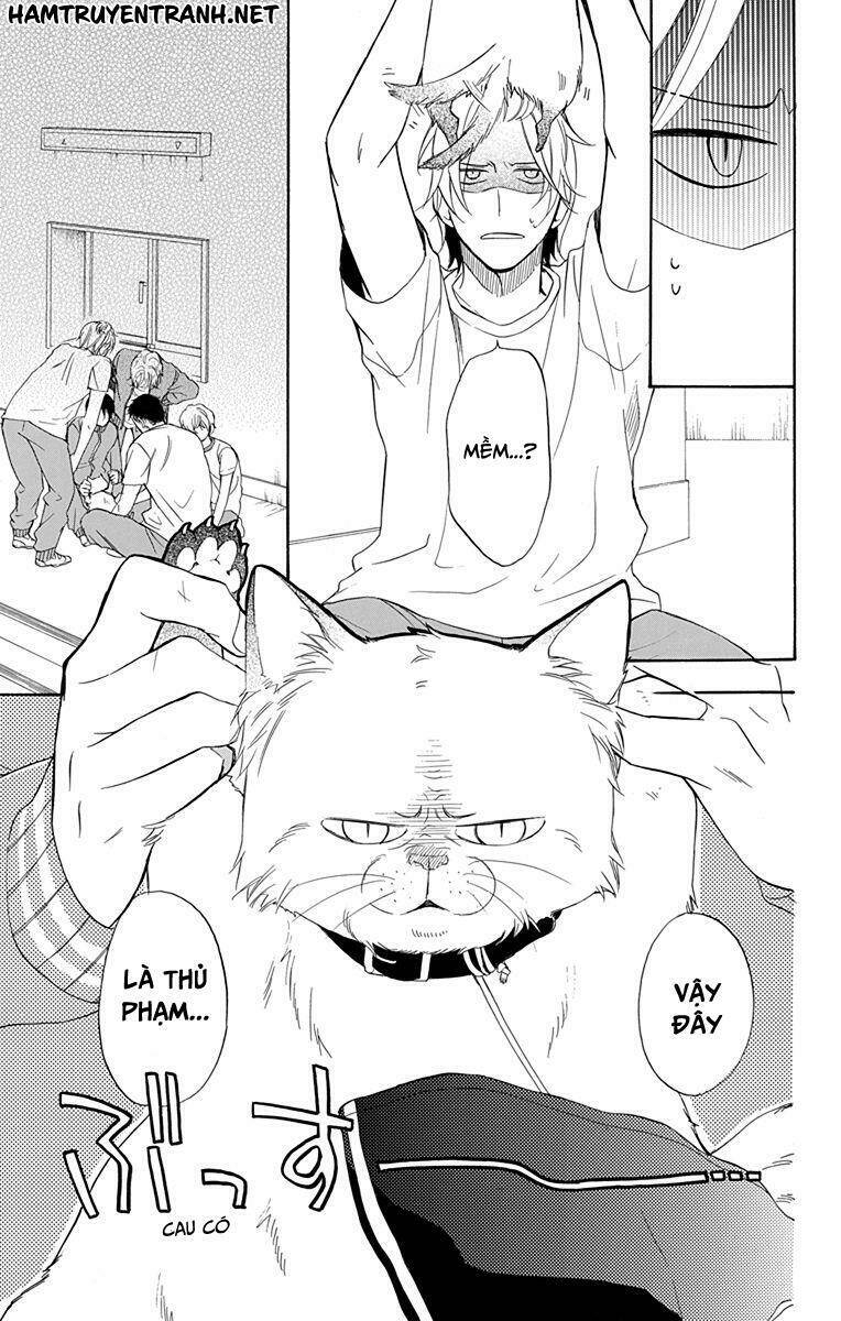 dansui! chapter 11 16