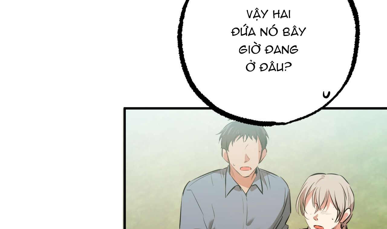 những chú thỏ của hapypy chapter 49 129