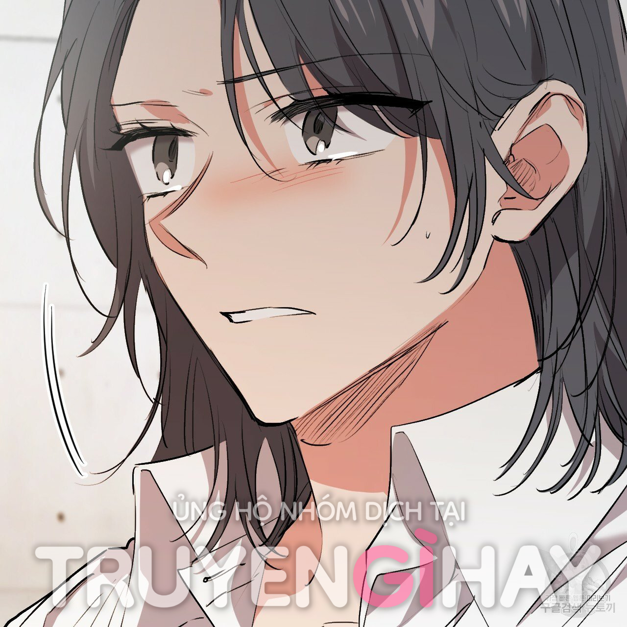 những chú thỏ của hapypy chapter 44 79