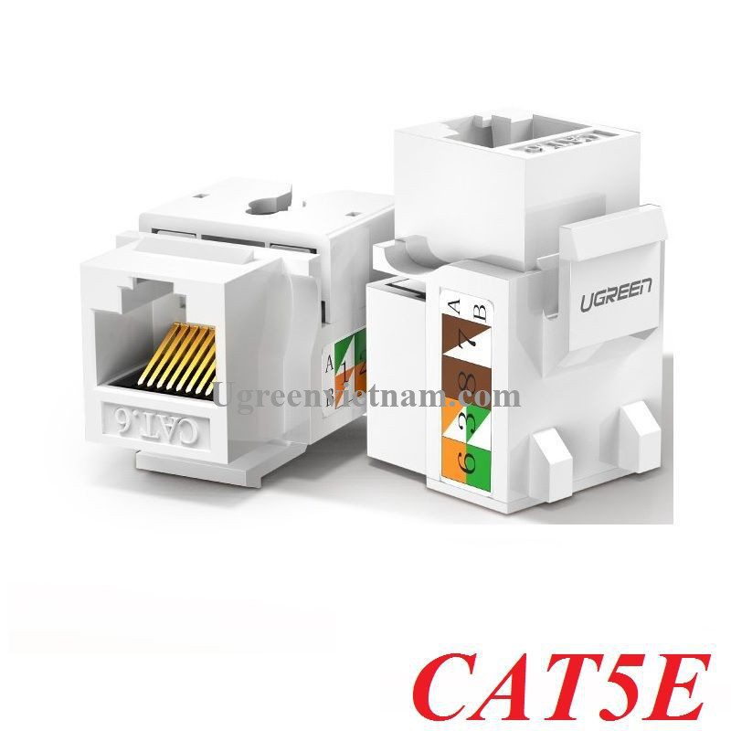 Hạt nhấn mạng cat5e màu trắng  Ugreen 80176 - Hàng chính hãng