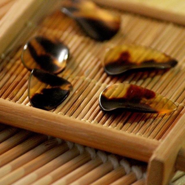 Móng chuyên nghiệp chơi đàn tỳ bà