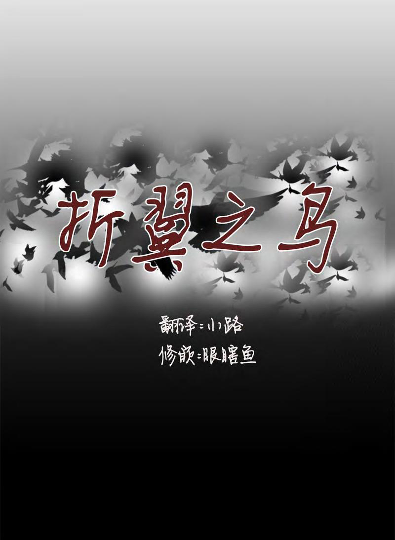 the wing chapter 1 1