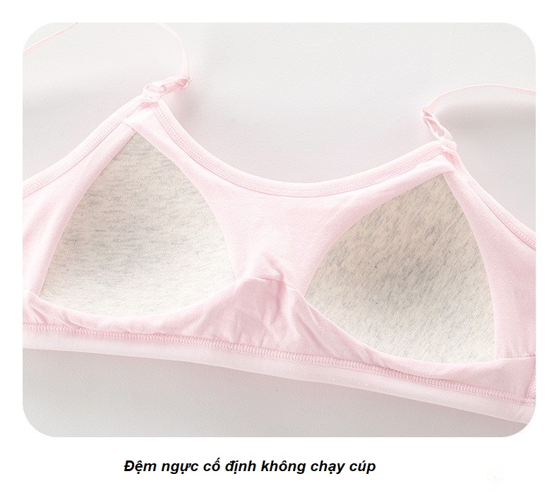 Áo lót nữ, áo lá học sinh cotton trơn mút liền cài sau 3 móc F004