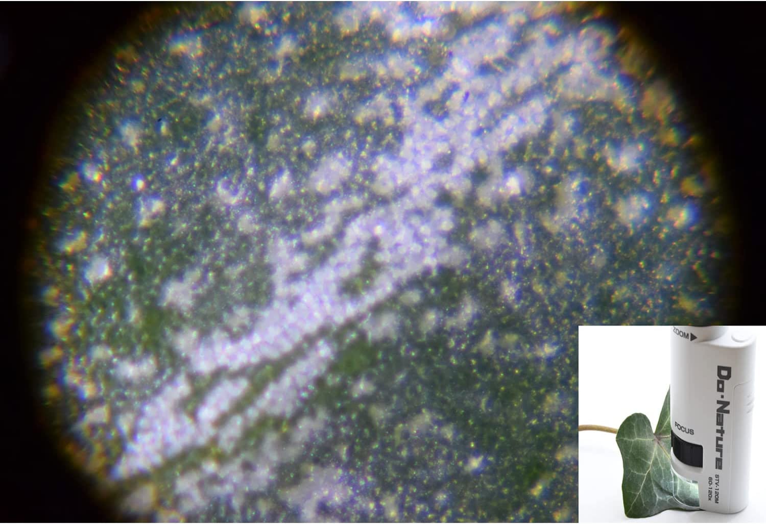 Quà Tặng Trị Giá 119K - Kính hiển vi mini cho trẻ em zoom 120x Do Nature Carson STV - 120M - Microscope Do.Nature STV-120M 60x-120x Zoom, Equipped with LED Light, Handheld and Small Design - Hàng Chính Hãng