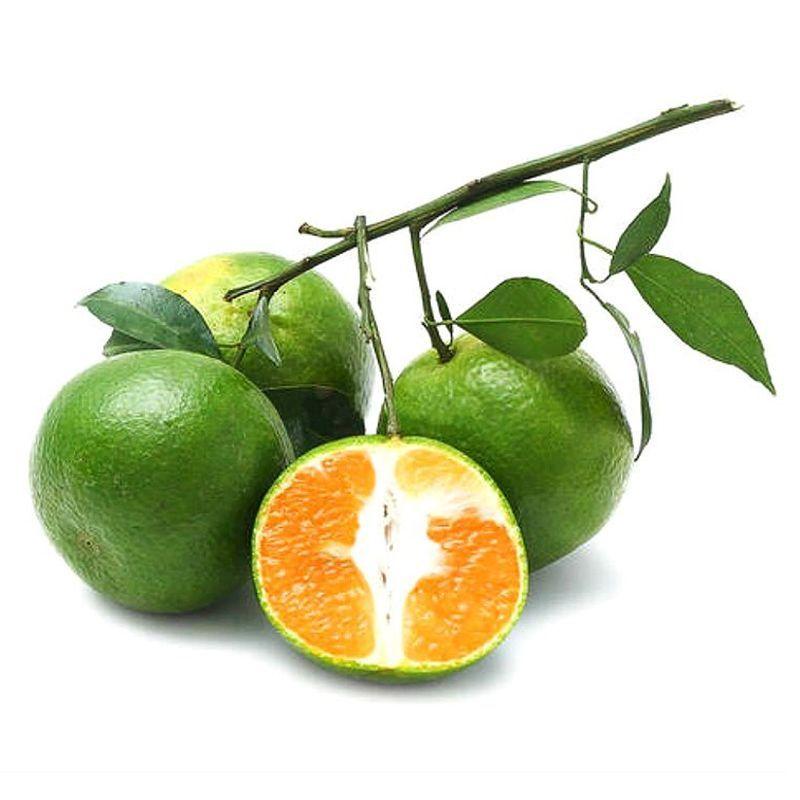 Quýt đường 950g-1kg trái từ 120g trở lên-2275930000002