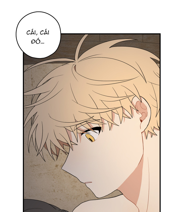 đường hoa liên kiều rơi chapter 15 34