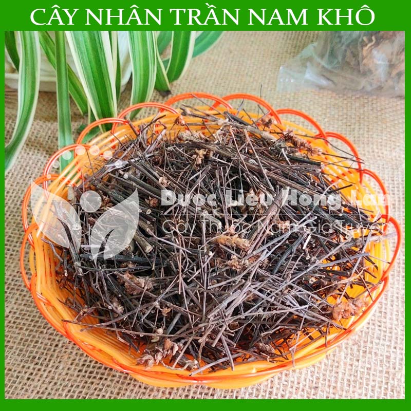 Cây Nhân Trần Nam khô 1kg