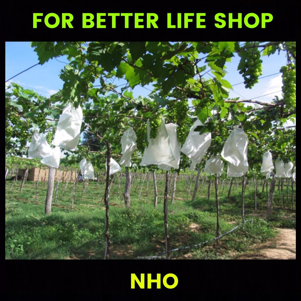 Túi Bao Trái Bưởi, Xoài, Sầu Riêng, Mãng Cầu Xiêm, Bộ 100 túi bao trái Vãi Không Dệt 30x40cm