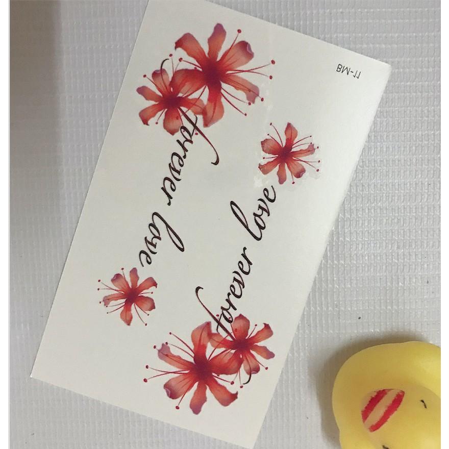 Hình xăm dán hoa bỉ ngạn màu 10x6cm