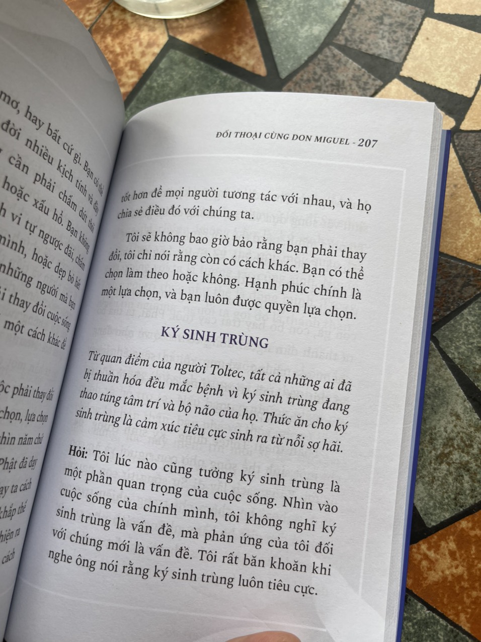 (Combo 5 cuốn) BỐN THOẢ ƯỚC – THỰC HÀNH BỐN THOẢ ƯỚC – THOẢ ƯỚC THỨ NĂM – TIẾNG NÓI CỦA TRI THỨC – VÒNG TRÒN LỬA -Tác giả Don Miguel Ruiz - Nguyễn Phi Vân  dịch - Saigonbooks – NXB Dân Trí