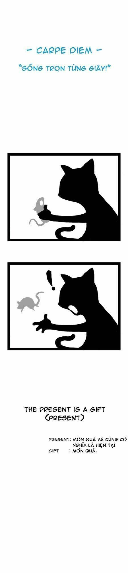 earth, human, and animal chapter 12 22