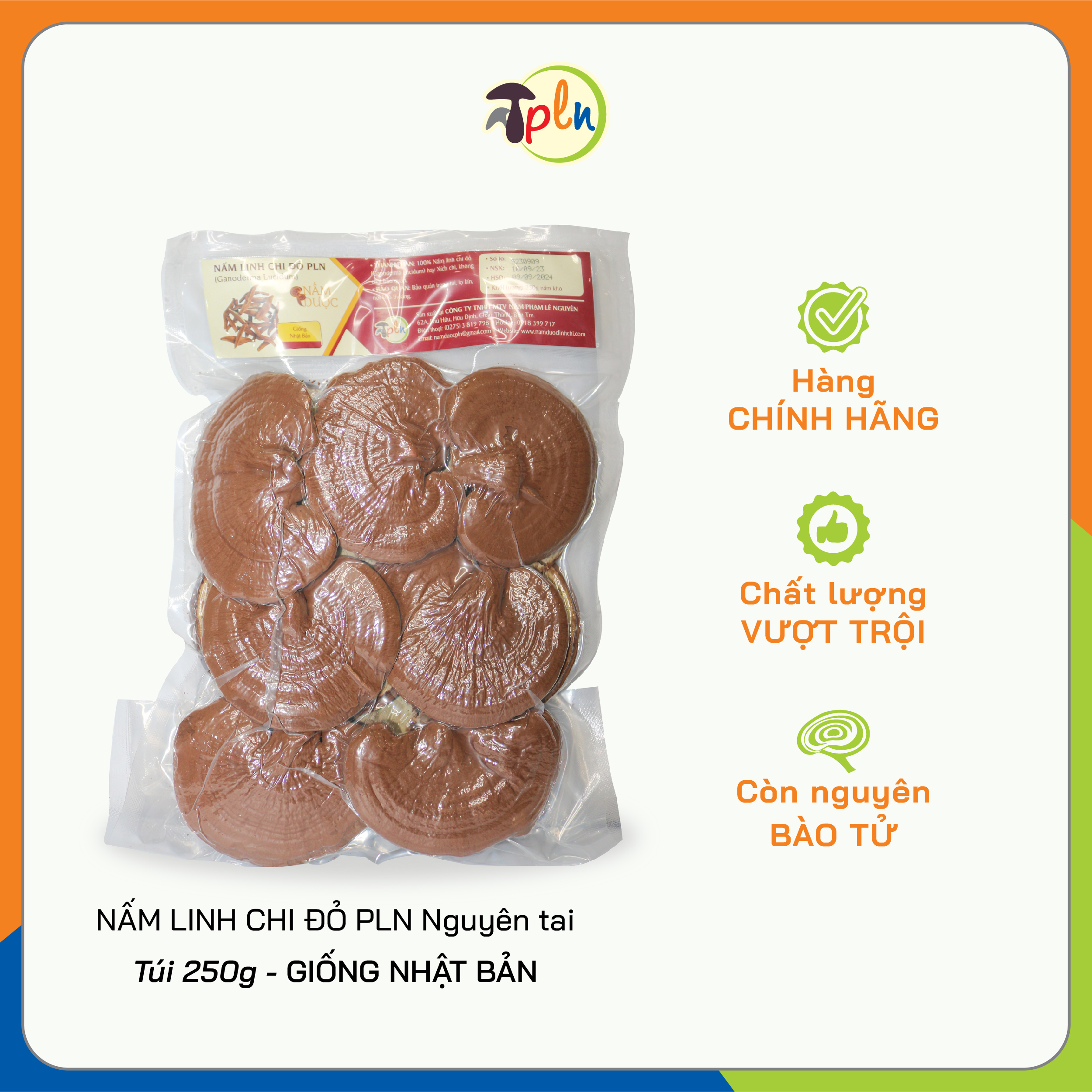 NẤM LINH CHI ĐỎ PLN - Nguyên tai. Túi 250g - Giống Nhật Bản