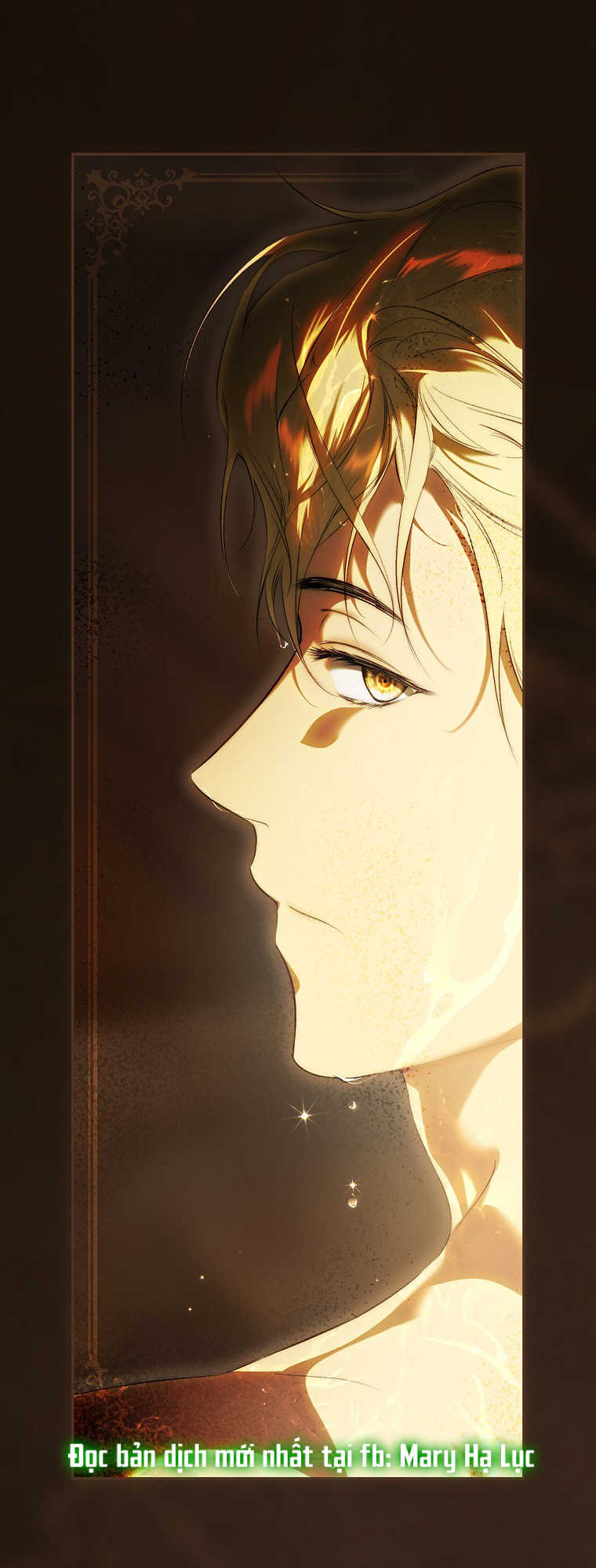 quý cô bí ẩn - secret lady chapter 79.1 12