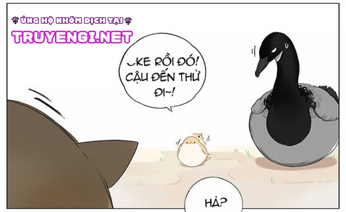 sẻ chiếu mới và nhạn phong sương chapter 4 6