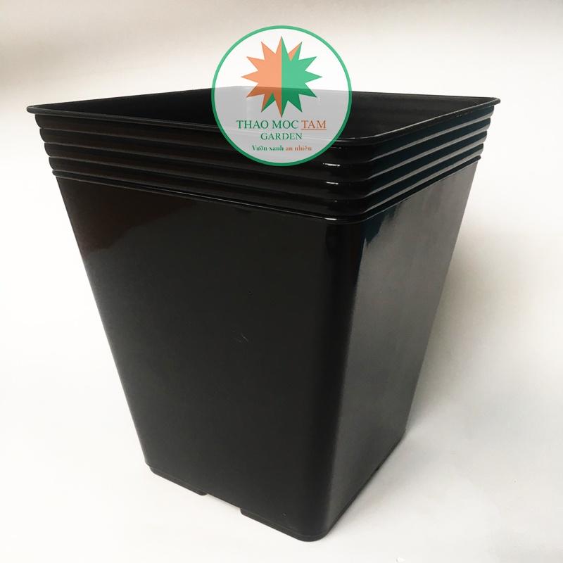 Chậu Vuông Dày 34x39cm Trồng Hoa Hồng, Sung Mỹ, Cây Kiểng – Chất liệu nhựa PP, dẻo dai chất lượng cao
